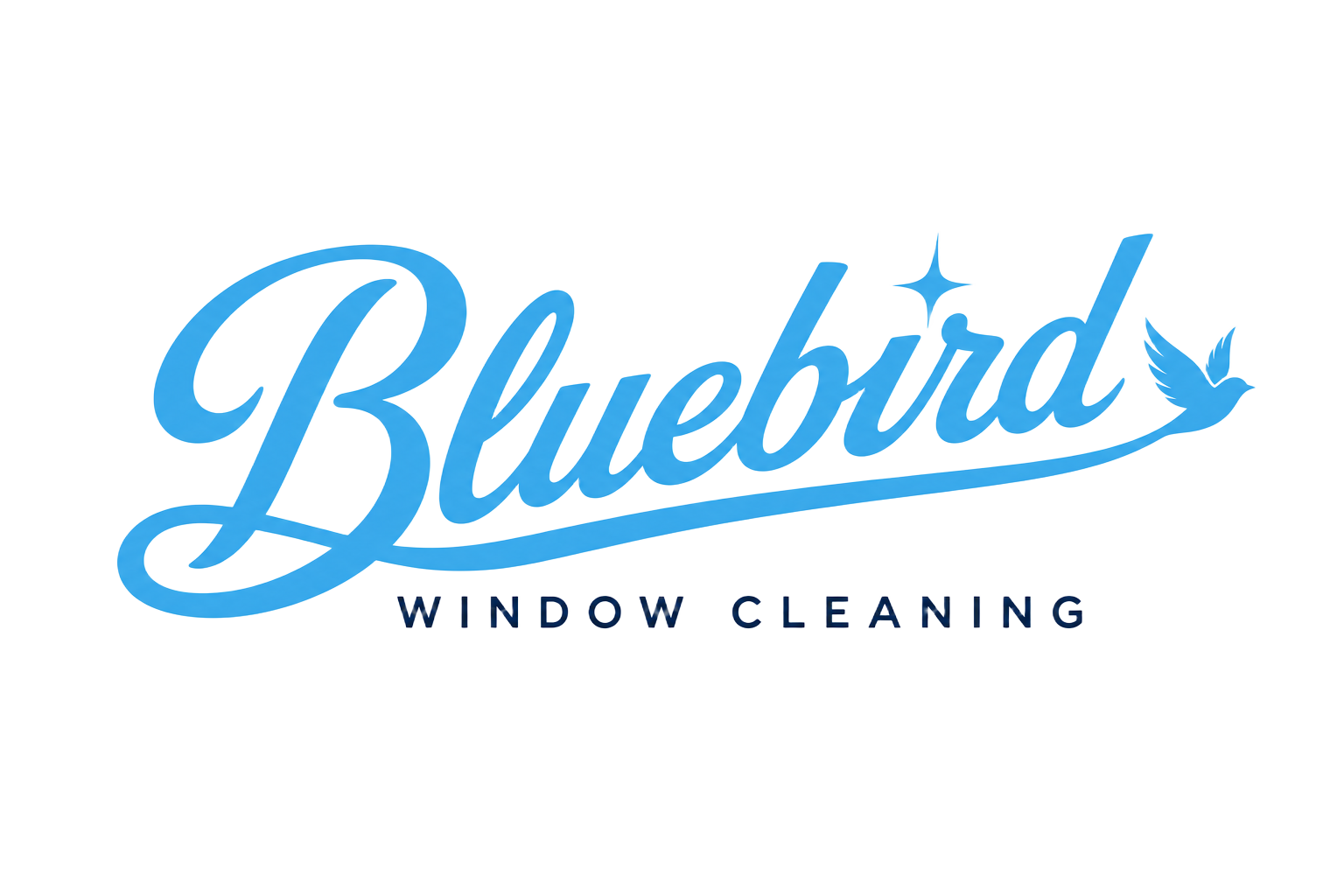 Bluebird Window Cleaning
